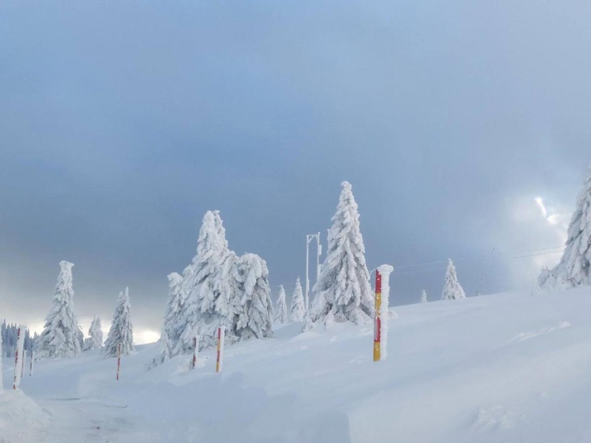 Apartman D&V Milmari Resort S10 コパオニク エクステリア 写真